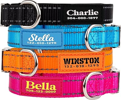 PAWBLEFY Personalized Dog Collars