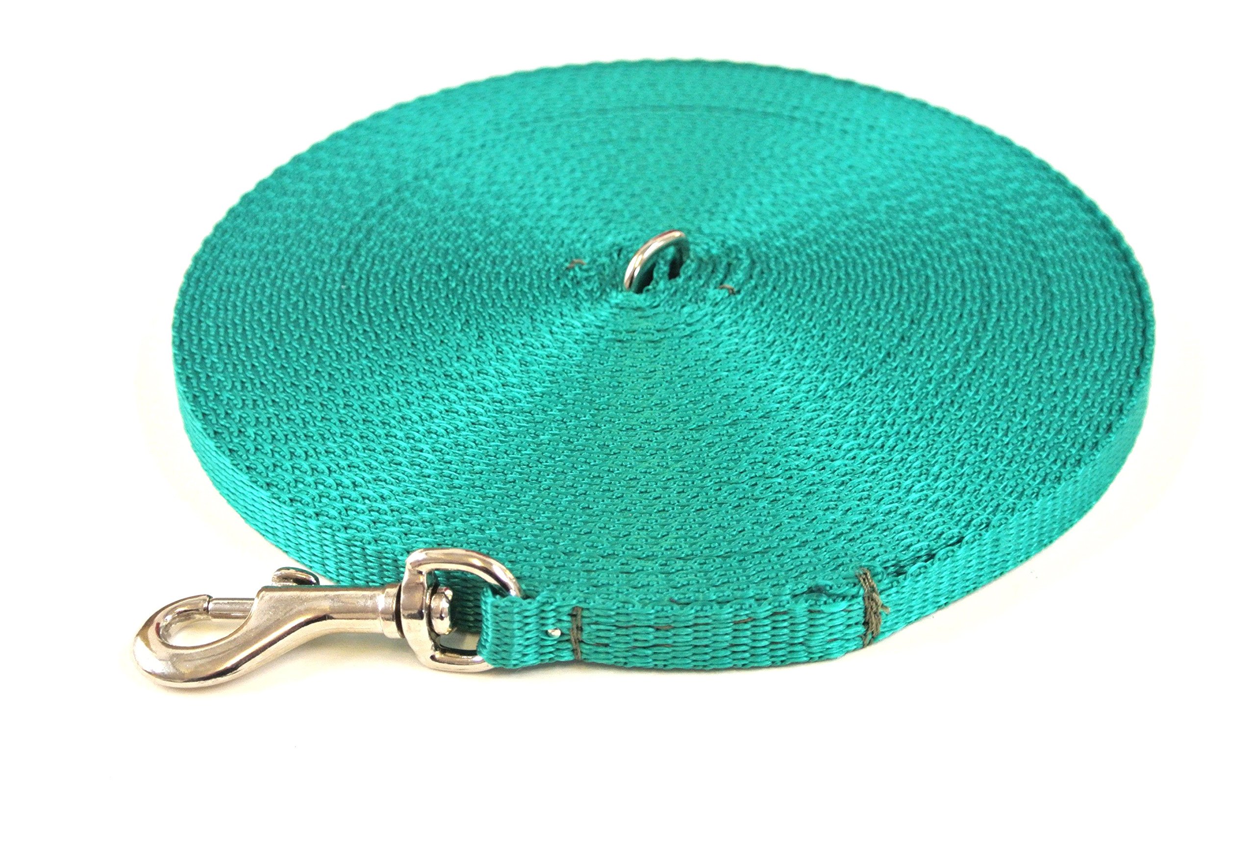 Puppy Training Lead Small Dog Recall Obedience Training Leash 10ft (3m) in 13mm Strong Webbing in (Emerald Green)