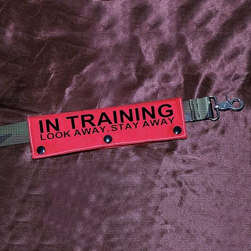 Miniatura 10 de Funda para correa de perro de servicio en entrenamiento Look Away Stay Away, funda envolvente para correa de perro (manga para llevar lejos - YE)