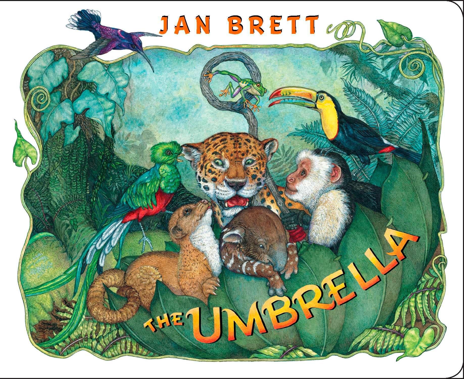 The Umbrella: board book Board book – Picture Book, February 17, 2011