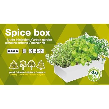 SeedBox Spice Box SBAROM - Huerto Urbano, 4 aromáticas, (albahaca ...