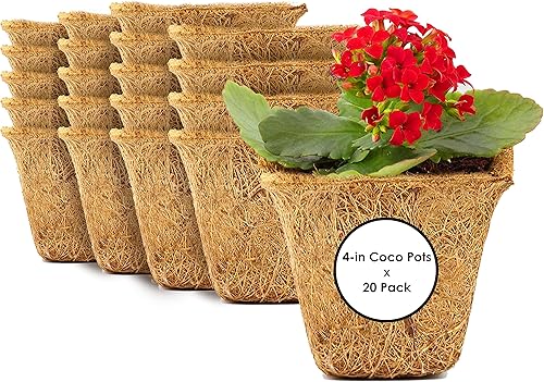 Envelor Macetas de fibra de coco para plantas, bandeja de inicio de semillas biodegradables, macetas de turba de coco, tazas de plántulas, macetas