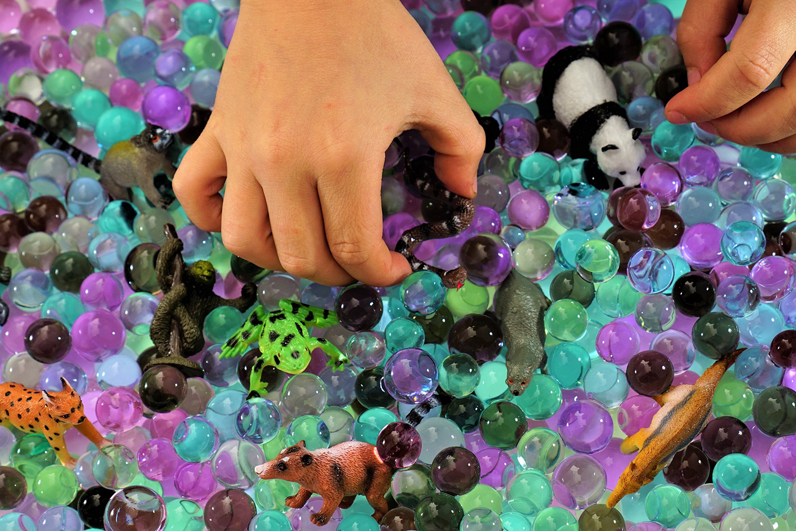 Buy SENSORY4U Dew Drops Water Beads Jungle Excursion Tactile Sensory Toys Bin Kit Rain Forest