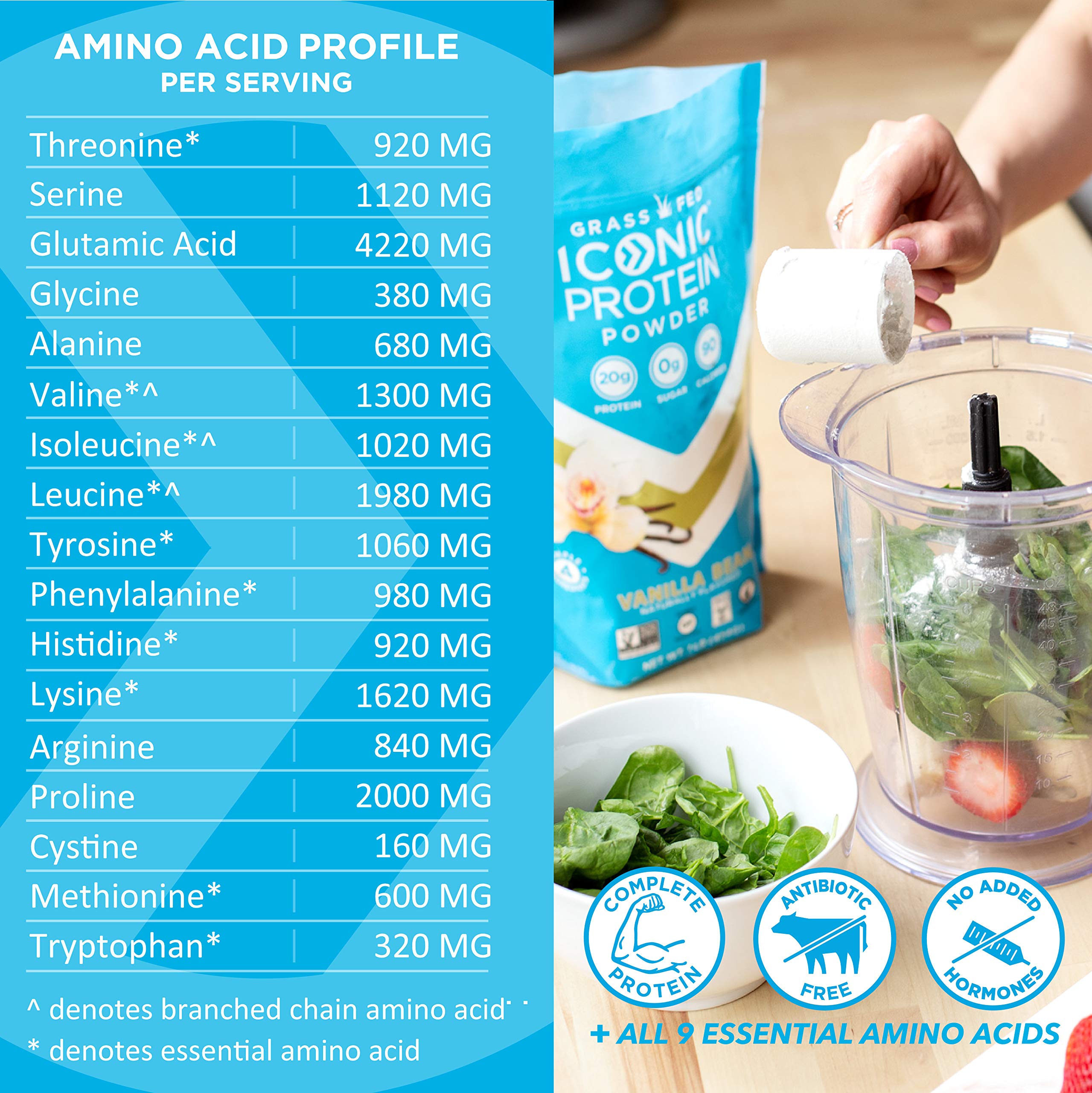 Iconic Protein Powder, Chocolate Truffle Sugar Free, Low Carb Protein