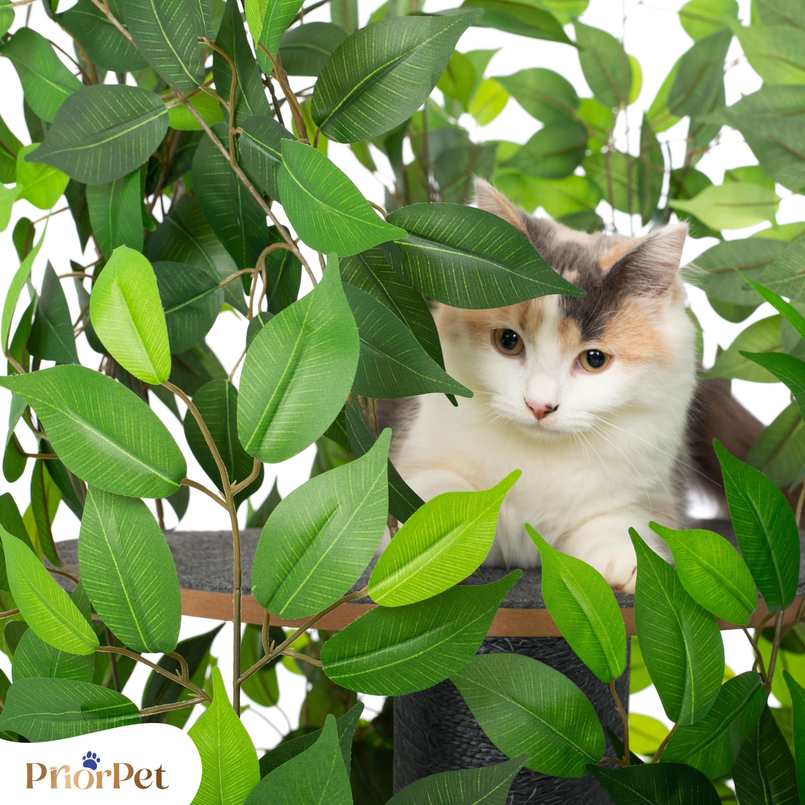 Albero per gatti con Foglie Intercambiabili - Brevettato Tiragraffi per Gatti Adulti, per Arrampicarsi Nascondersi e Dormire - Più Livelli, Facile da Montare - Tiragraffi Gatto Costruzione Robusta