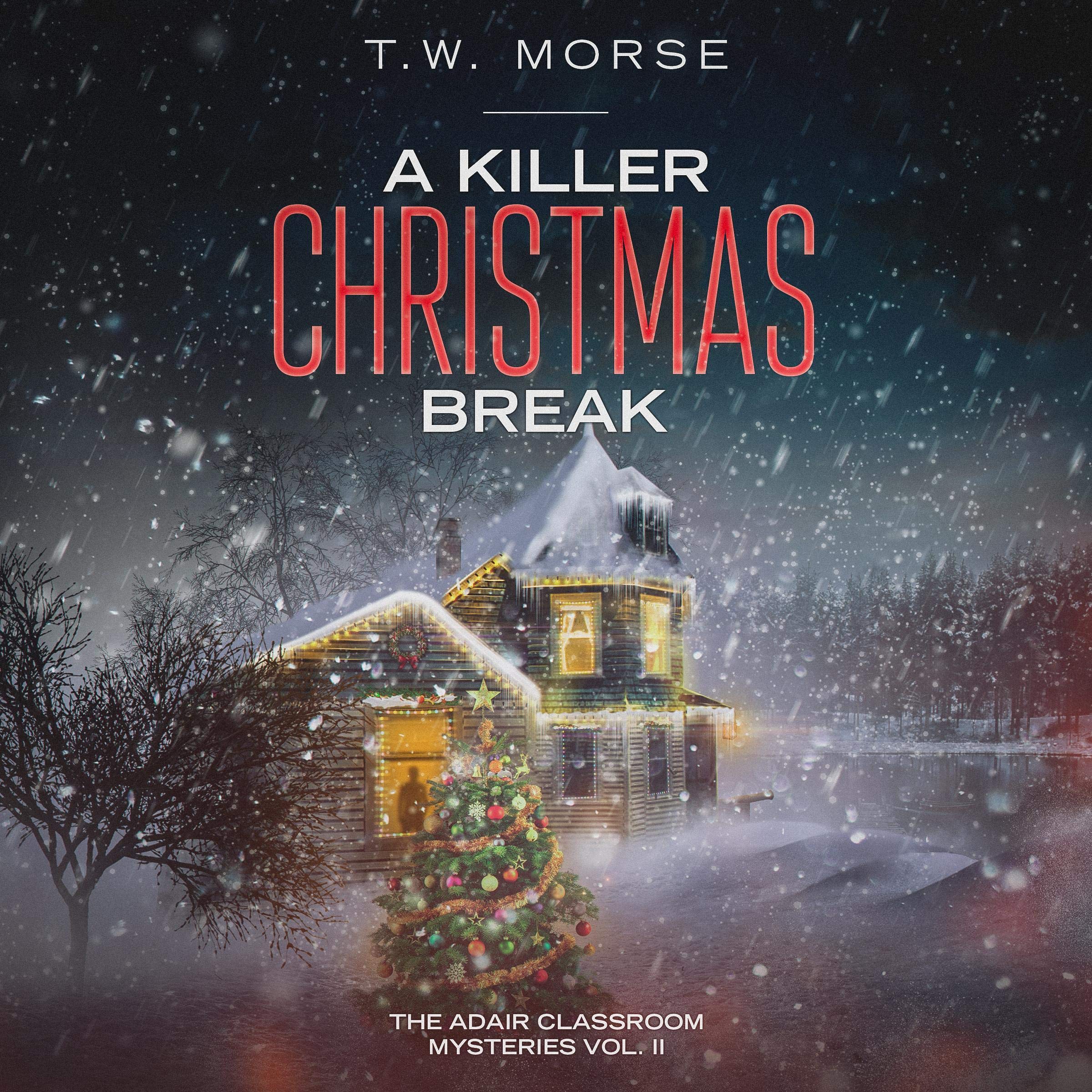 Cover art for A Killer Christmas Break
