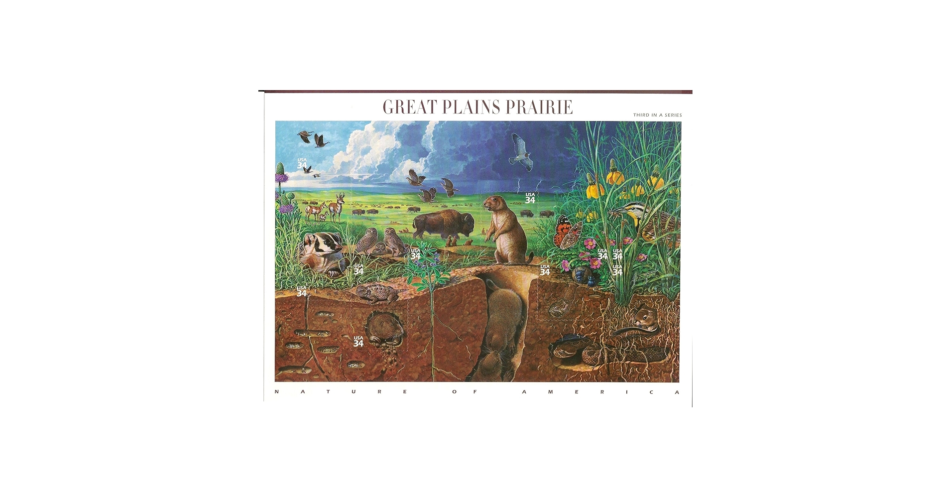 Amazon.com: Great Plains Prairie (Nature of America), Full