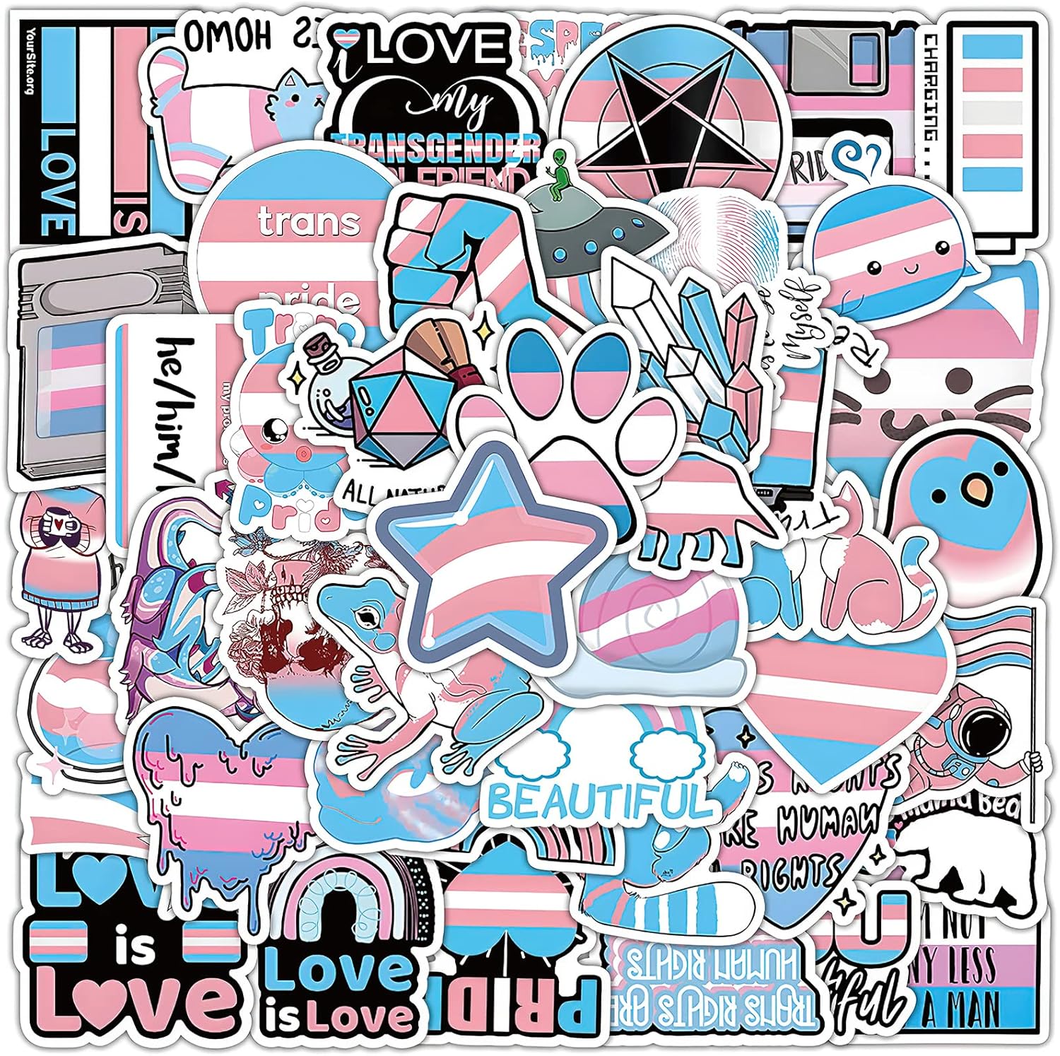 Runmeihe Runmeihe-PUDO20 60pcs Transgender Pride Stickers, Waterproof Accessories for LGBTQ, Colorful Gay Stickers for Water Bottle, Laptop, Skateboard, Phone, Guitar (Transgender)