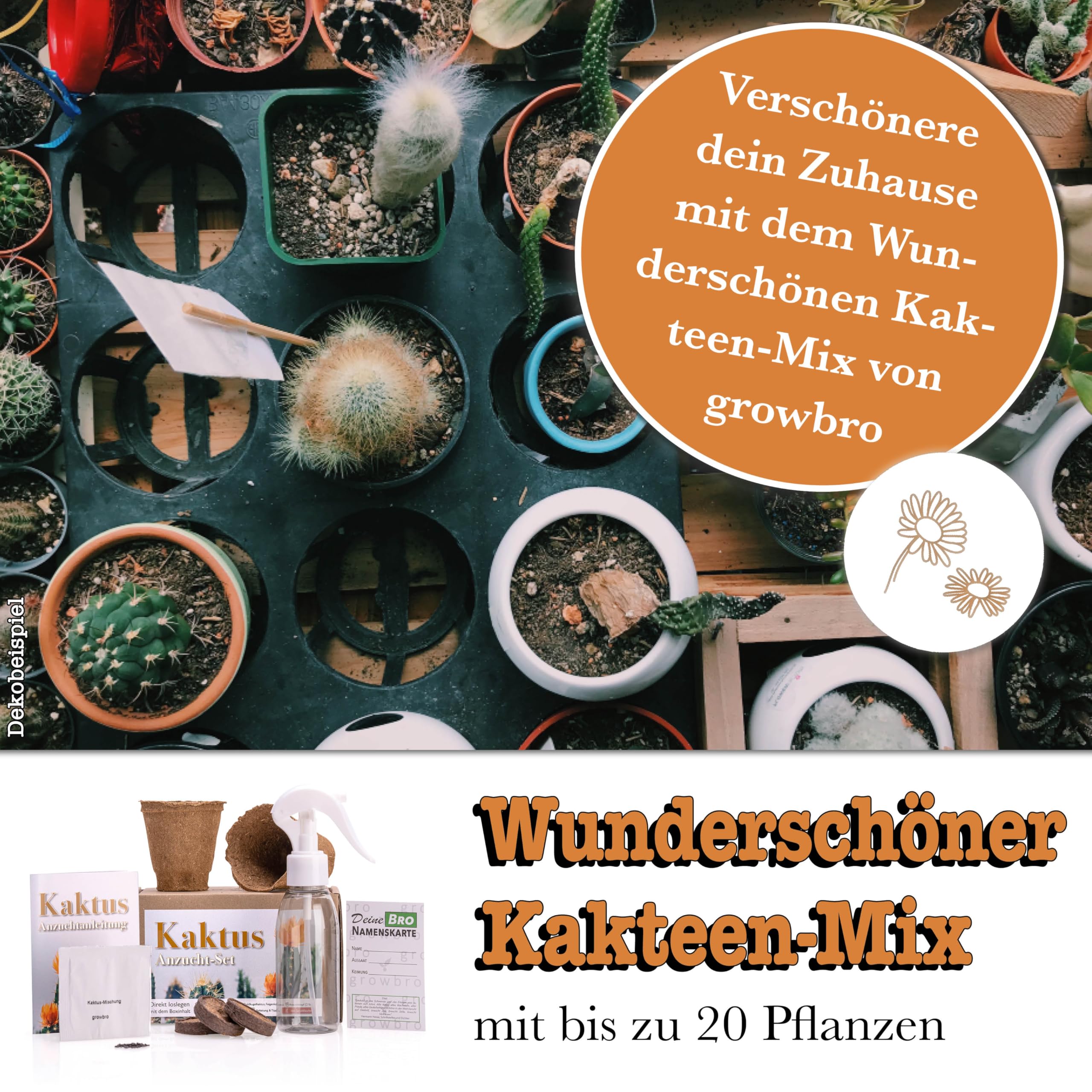 Cactus growbro Kit de culture avec vaporisateur, cadeau d'anniversaire, plantes succulentes, cadeaux pour femmes et hommes, cadeau d'invité, plantes d'intérieur, cadeau de jardin, cactus
