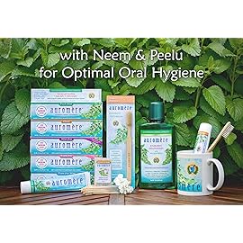 Auromere Ayurvedic Herbal Toothpaste, Mint Free - Vegan, Natural, Non GMO, Fluoride Free, Gluten Free, with Neem & Peelu (4.16 oz), 2 Pack