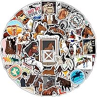 Vista 19 de BulbaCraft 100 piezas de pegatinas de cantantes country - Mercancía de música country, pegatinas impermeables de música para fundas de teléfono