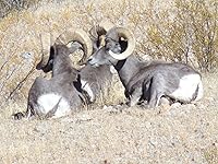 Review Image by jondo