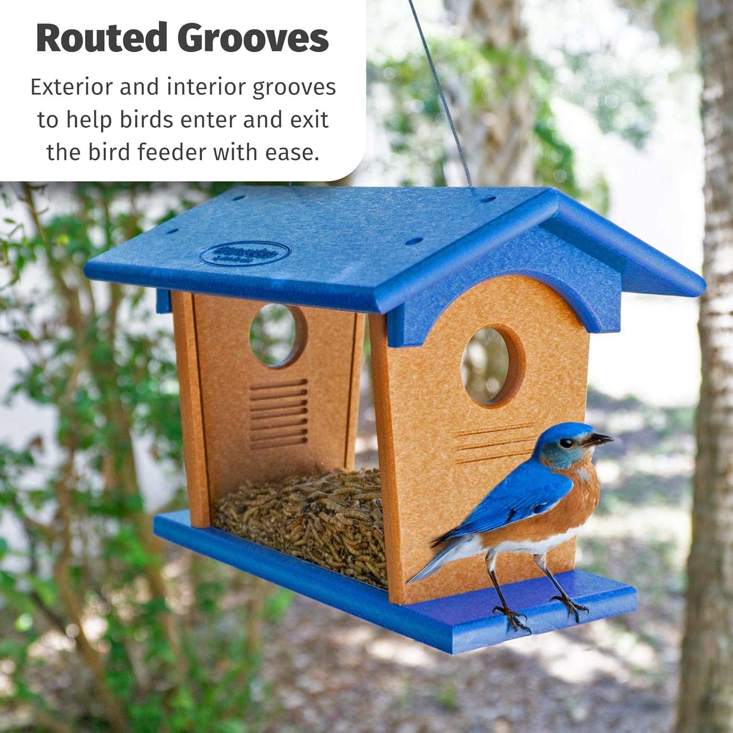 DutchCrafters Hanging Bluebird Feeder for Mealworms with 1 1/2" Entrance Hole, Outdoor Live or Dried Mealworm Feeder for Bluebirds - Amish USA Made (Blue & Cedar)