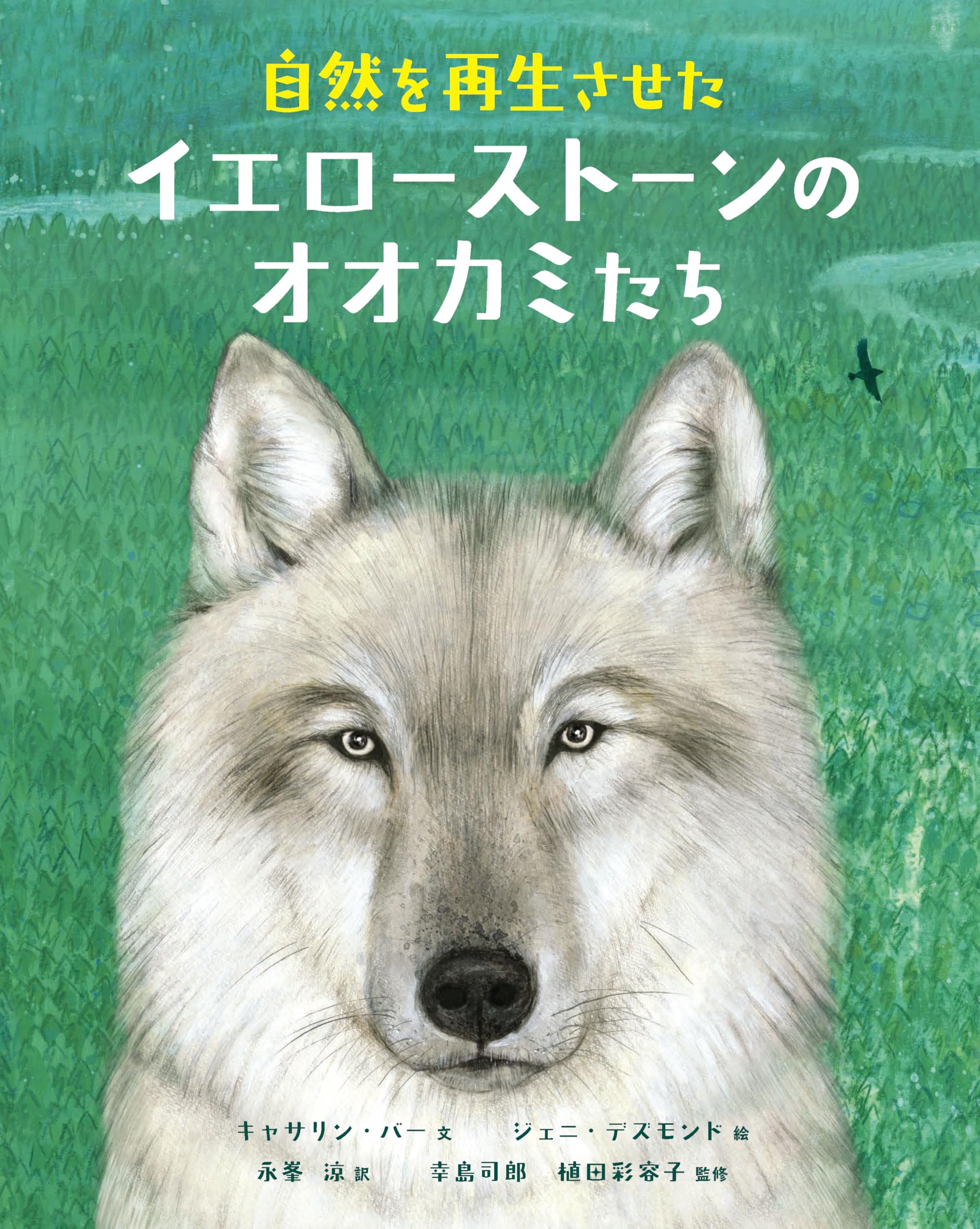 Amazon.co.jp: 自然を再生させたイエローストーンのオオカミたち