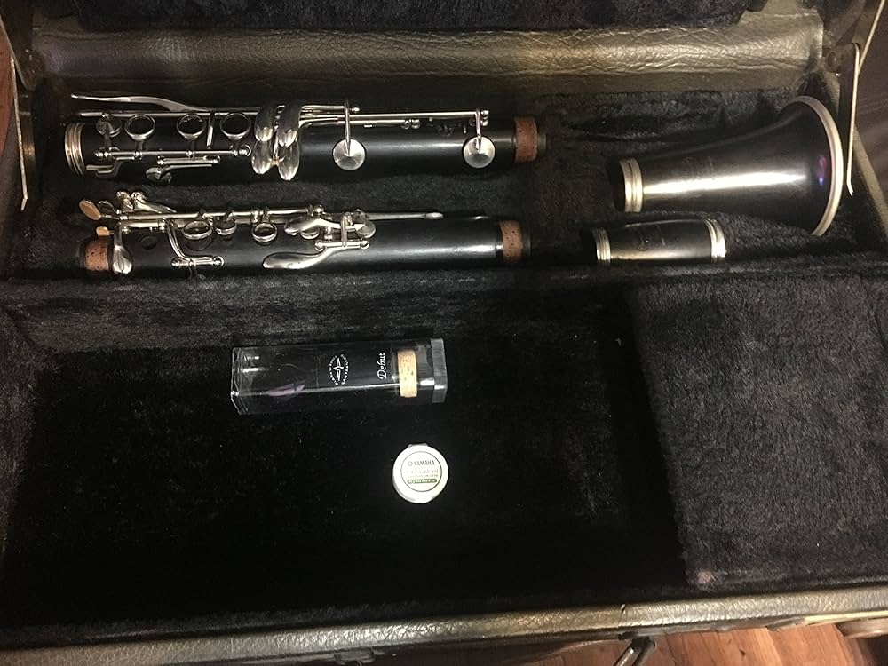 Buffet Crampon R13 Professional Bb Clarinet with Nickel Keys