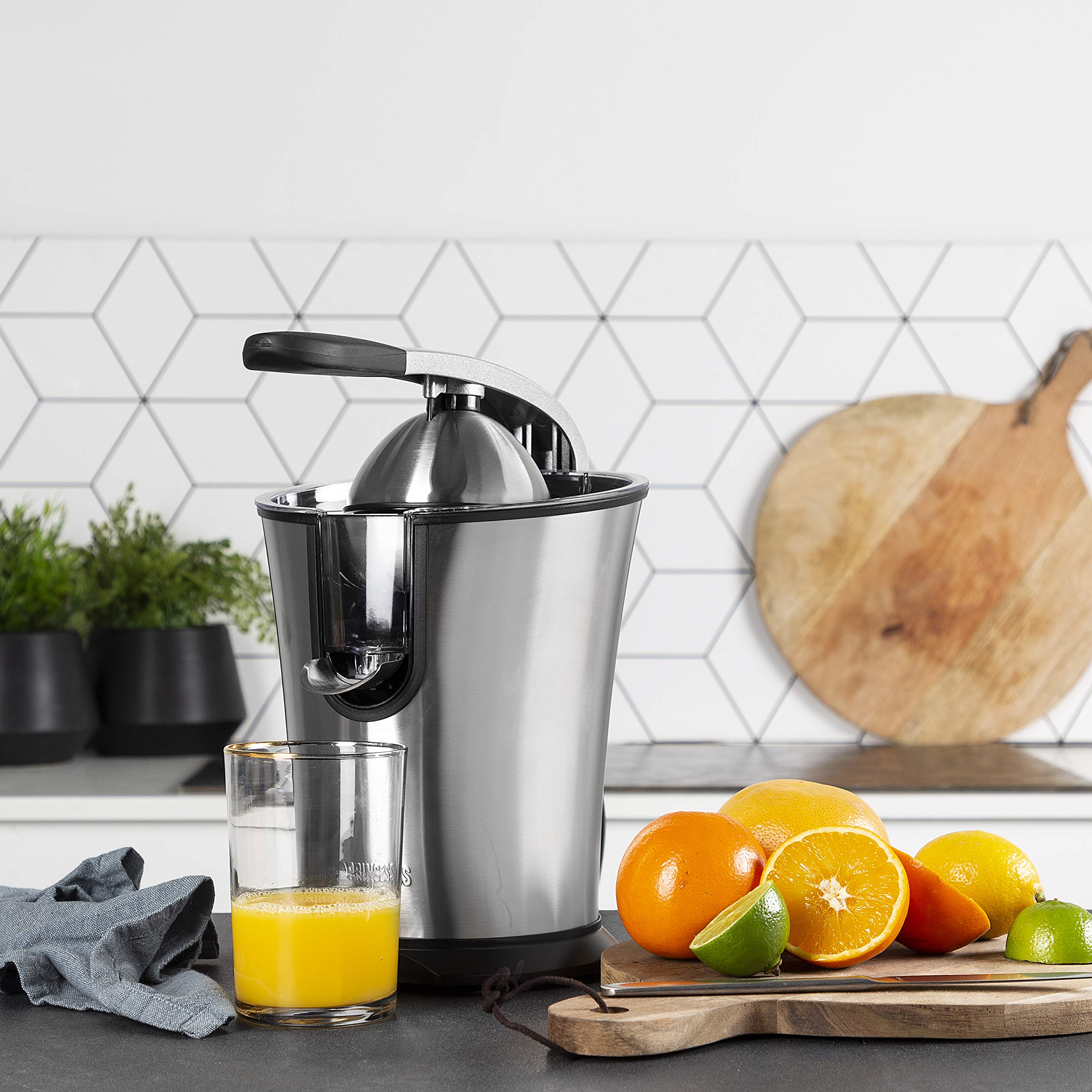 Princess Master Juicer Pro Edelstahl Presskegel Rostfreier Edelstahl Silber