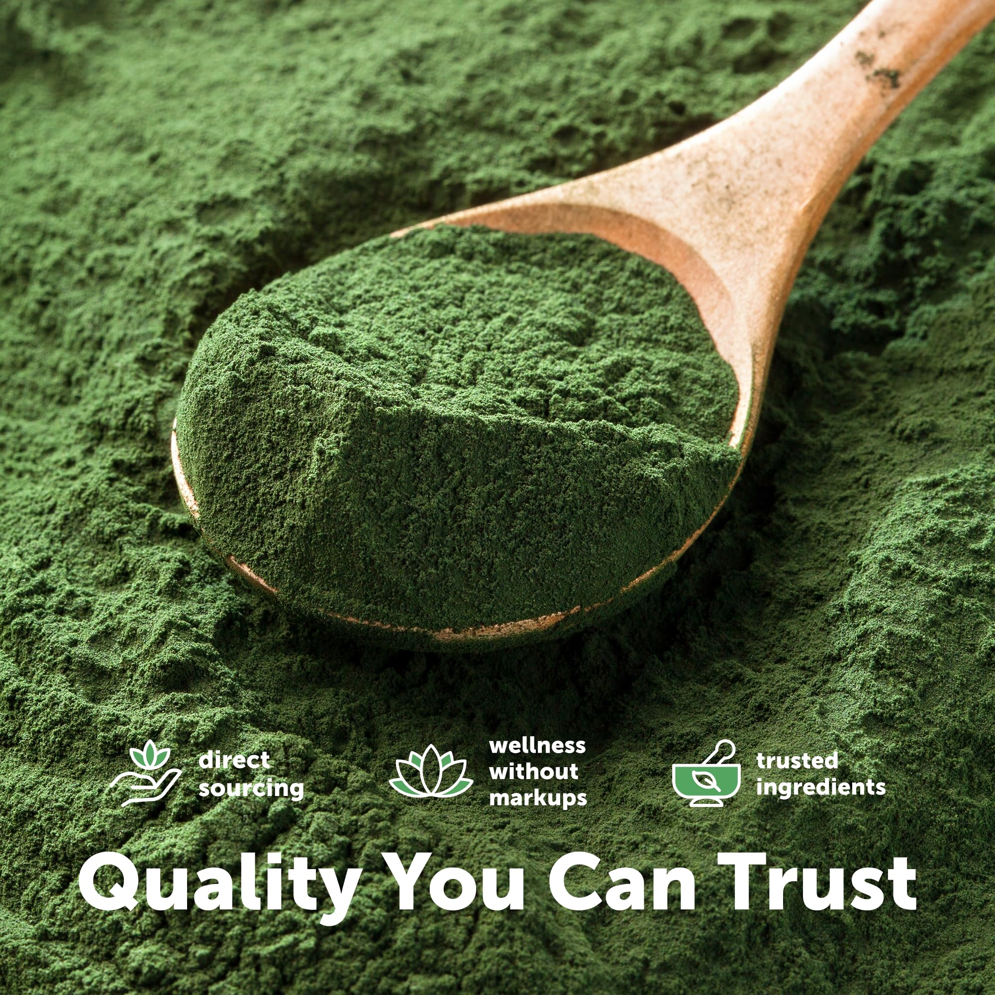 Micro Ingredients Organic Spirulina Powder, 2lb | Blue-Green Algae, Rich in Vegan Protein, Vitamins & Minerals | Source of Natural Chlorophyll & Enzymes | Non-GMO, Gluten-Free, No Additives — Amazon image 6
