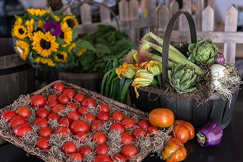 Miniatura 3 de SuperMoss Musgo Español Conservado, Coffee