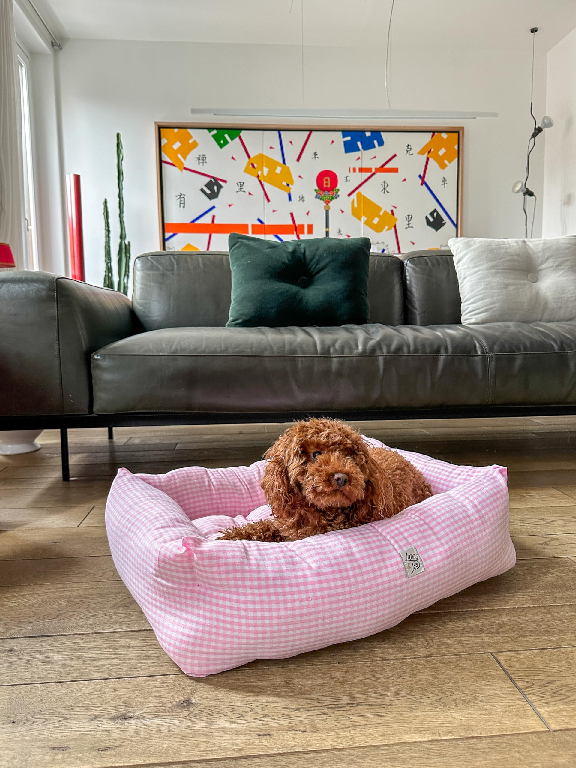 Leo e Luna Divanetto per Cani e Gatti – Cuccia Sfoderabile in Cotone 100% – Fantasia Vichy Rosa – Morbido, Lavabile e Resistente – Taglie da S a XL – Made in Italy (S)