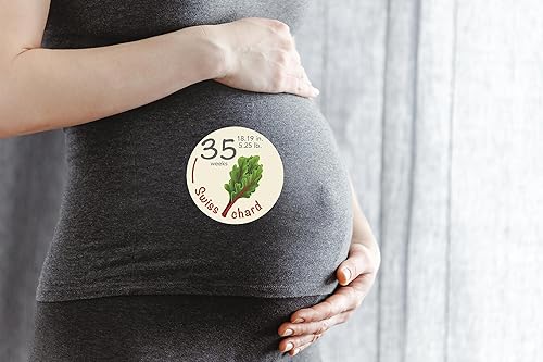 Miniatura 3 de Pegatinas de bump  40 calcomanías semanales de seguimiento de embarazo  Semana 5 a 40 + 4 bonos  Accesorio de foto de embarazo  Fruta 3.93 pulgadas