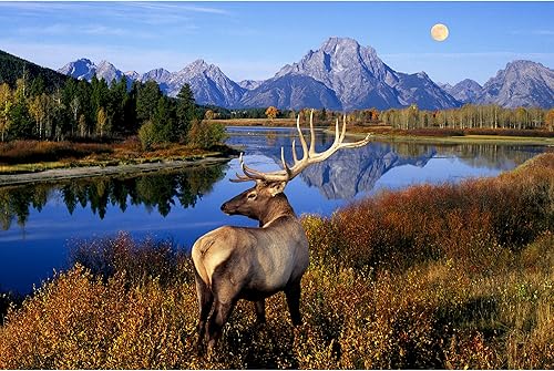 Rompecabezas de madera para adultos 500 piezas de montañas rocosas lago naturaleza paisaje juegos para adultos adolescentes y niños 20 x 15 pulgadas