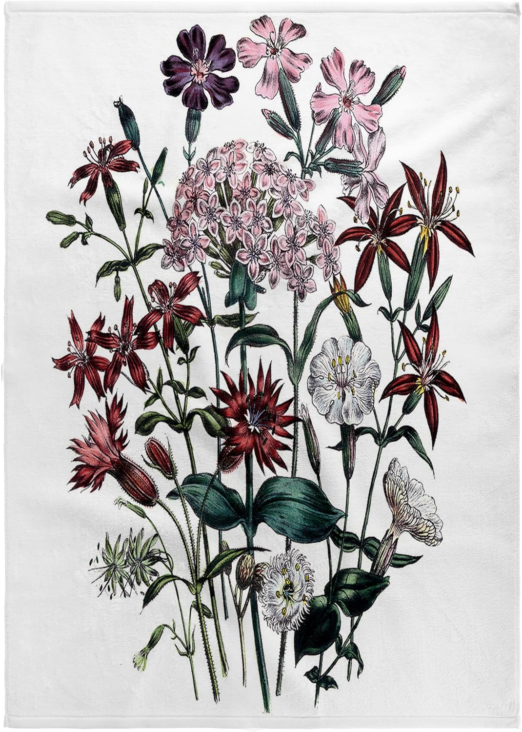 3dRose Silene Flowers in Red, Pink and Dark Purple 22x30 Bath Hand Pool Towel