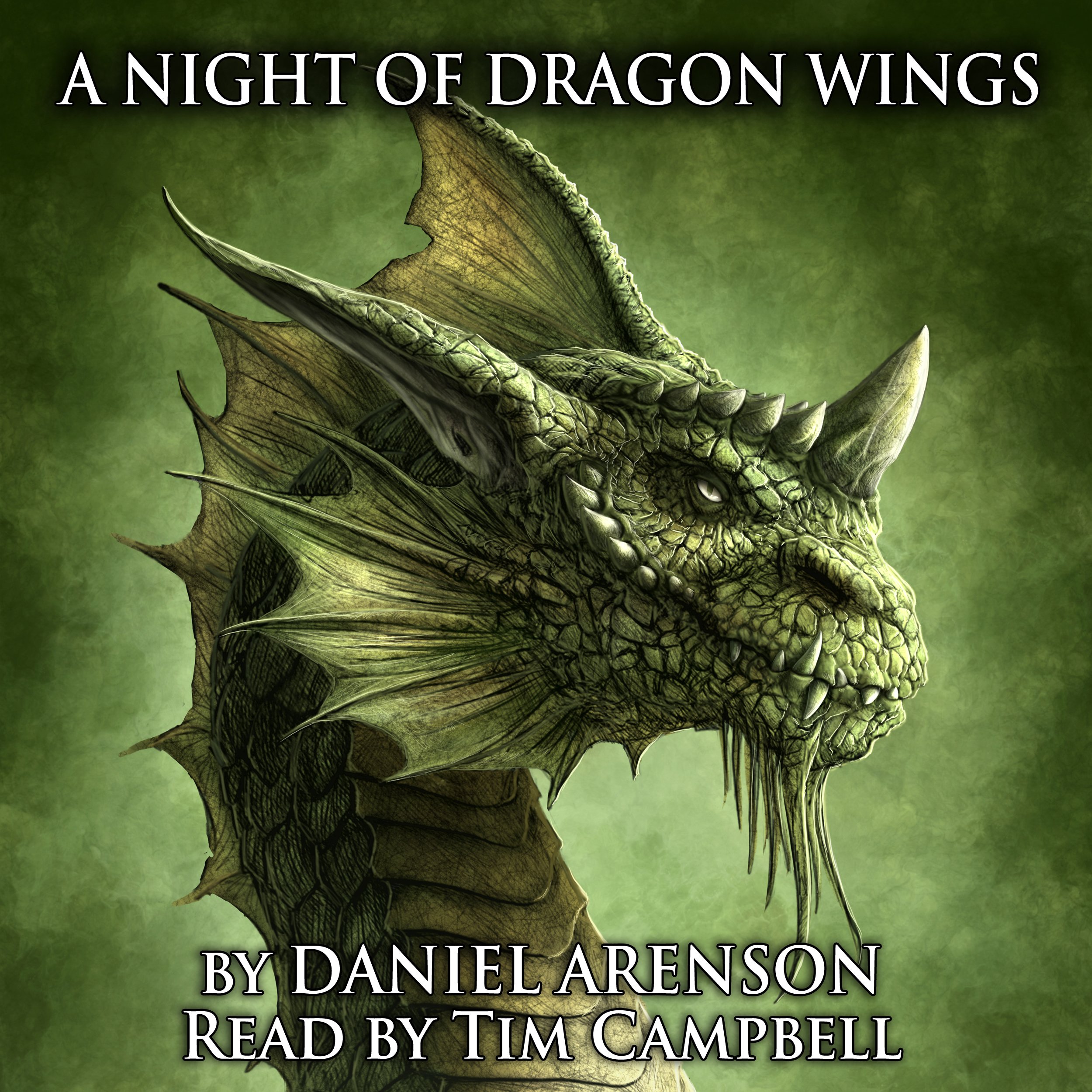 Cover art for A Night of Dragon Wings