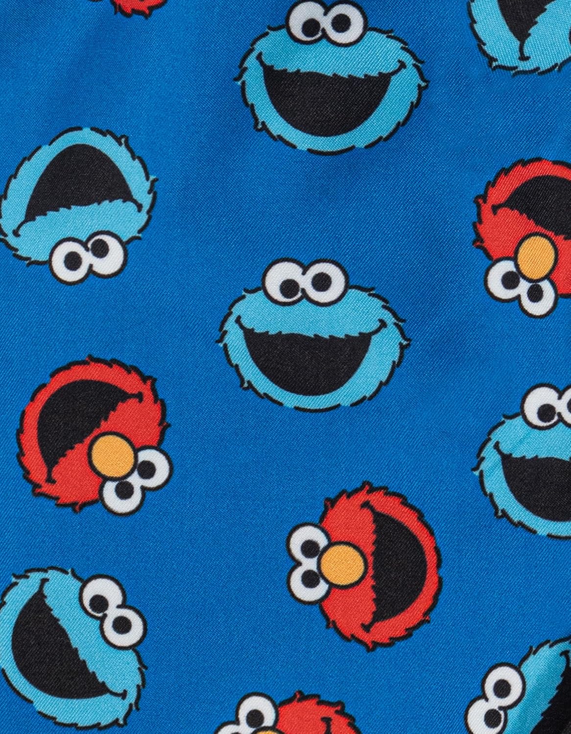 Sesame Street Raglan Rash Guard and Swim Trunks UPF 50+ Outfit Set Infant to Toddler Sizes (12 Months - 4T) - Image 5