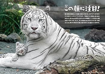 ねこまる様 おはにゃん 今日はいい天気っぽいけど ママはお仕事にゃ だから