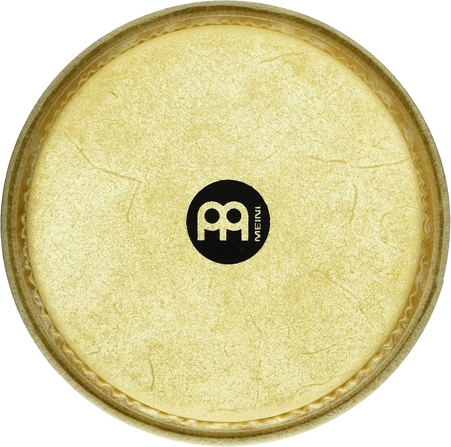 Amazon | MEINL Percussion マイネル ボンゴヘッド 8-1/2
