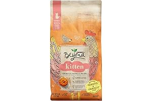 Beyond Dry Cat Food: High Protein Kitten Food