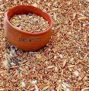 Atmos Millets Bird Food Seeds Mix for All Types of Birds Pack of 1 Kg