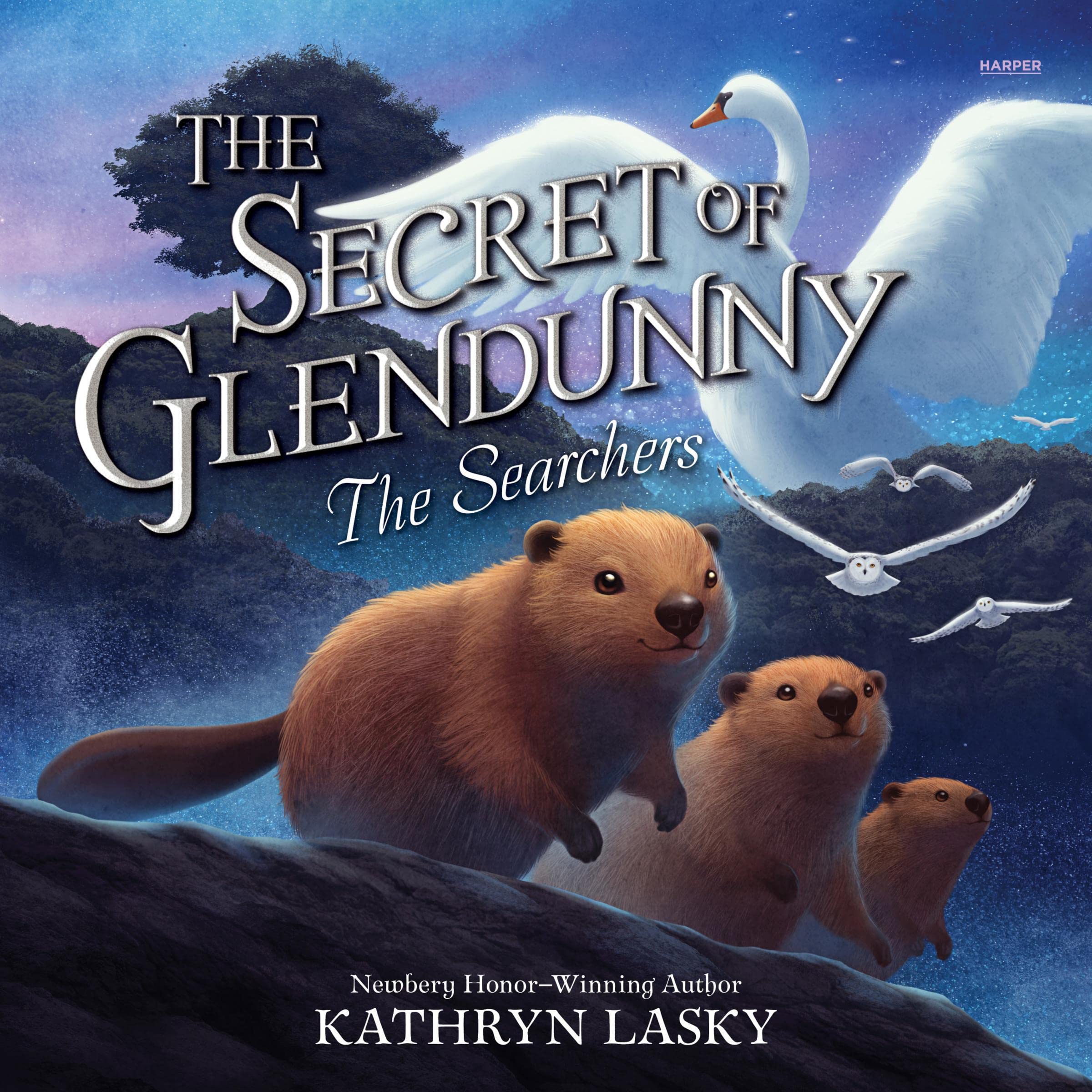 Cover art for The Secret of Glendunny #2: The Searchers
