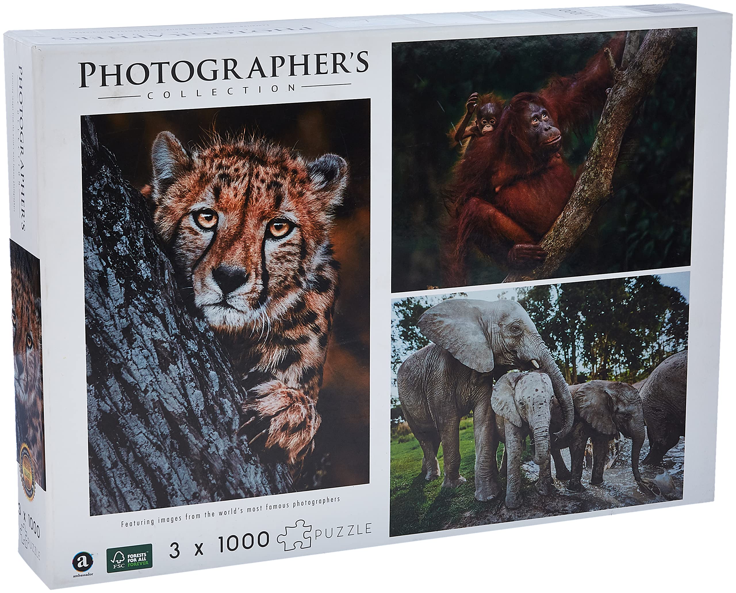 Photographers Collection - 1000 pc. puzzle Tri-Pack - Boyd #1