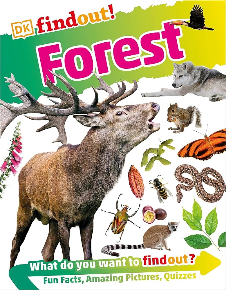 DKfindout! Forest: DK: 9780241284971: Amazon.com: Books