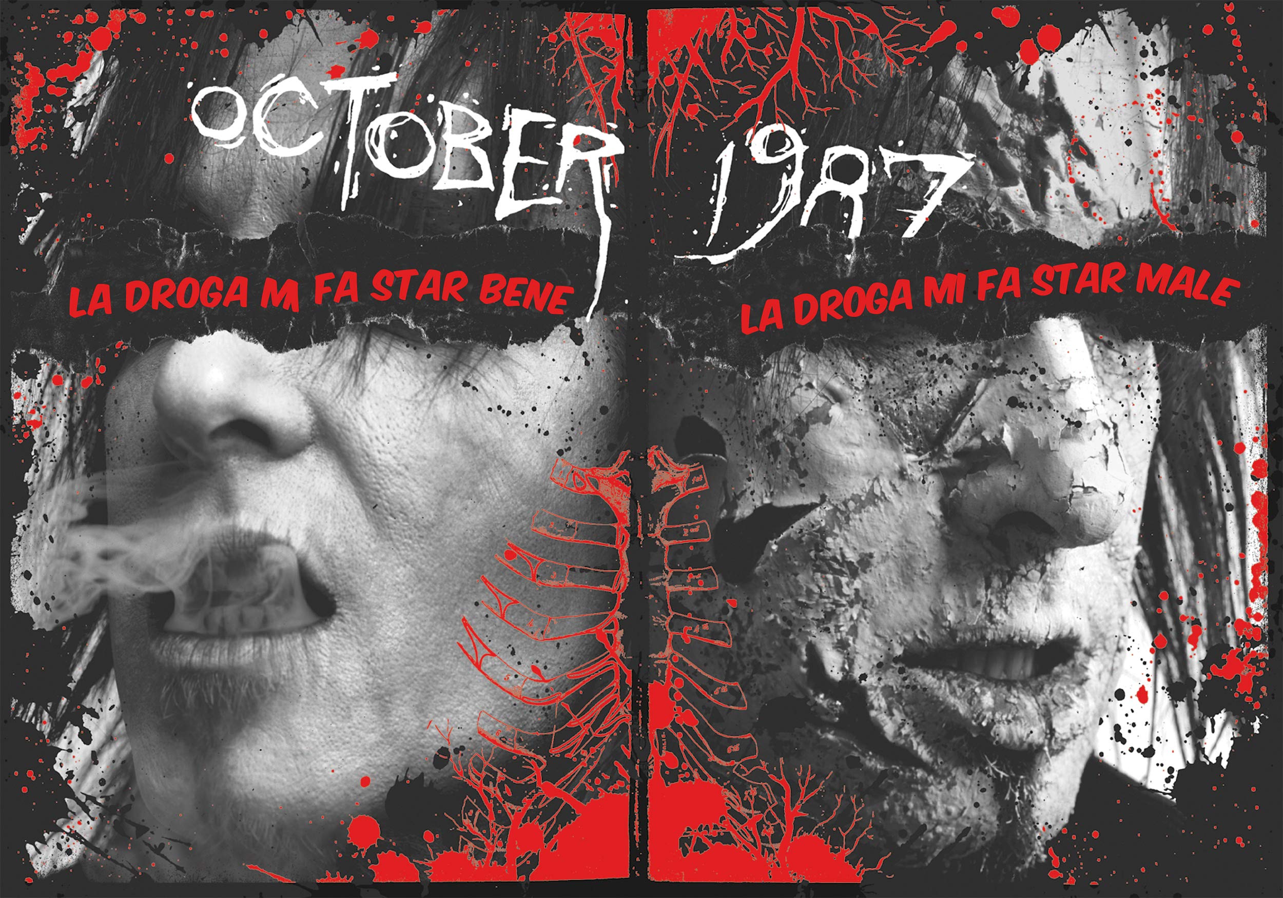 The heroin diaries. Un anno nella vita di una rockstar allo sbando. Ediz. ampliata