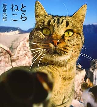 とらとら ねこちゃん 絶版】【稀少本】【初版】とらとらねこちゃん 児童書 - メルカリ