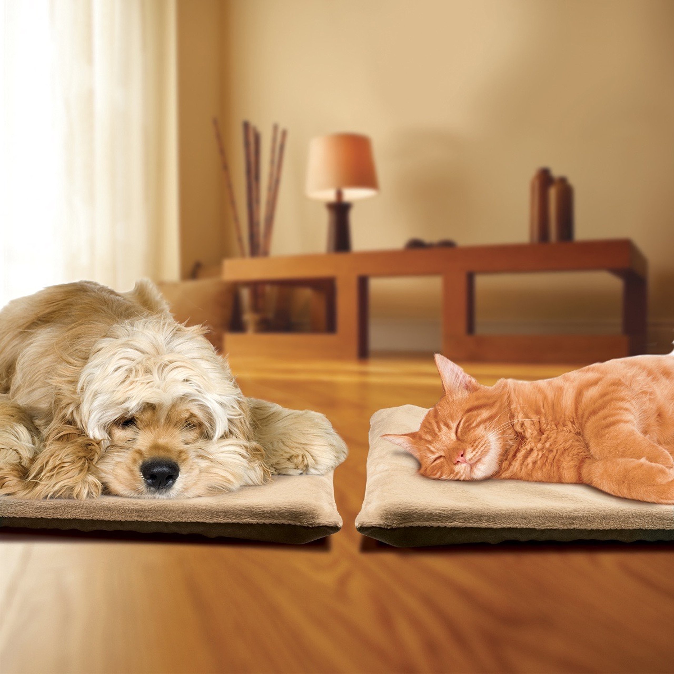 sunbeam sensor egg cat deterrent refill