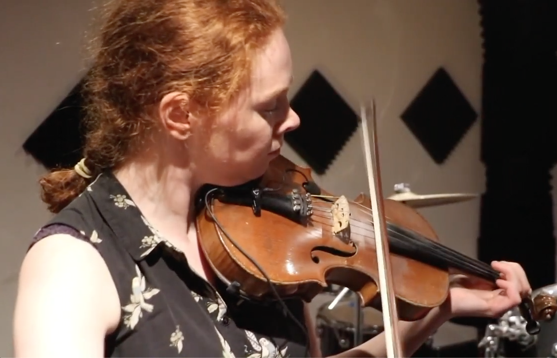 Amazon.com: The Feather Full Violin Pickup with Flexible Micro