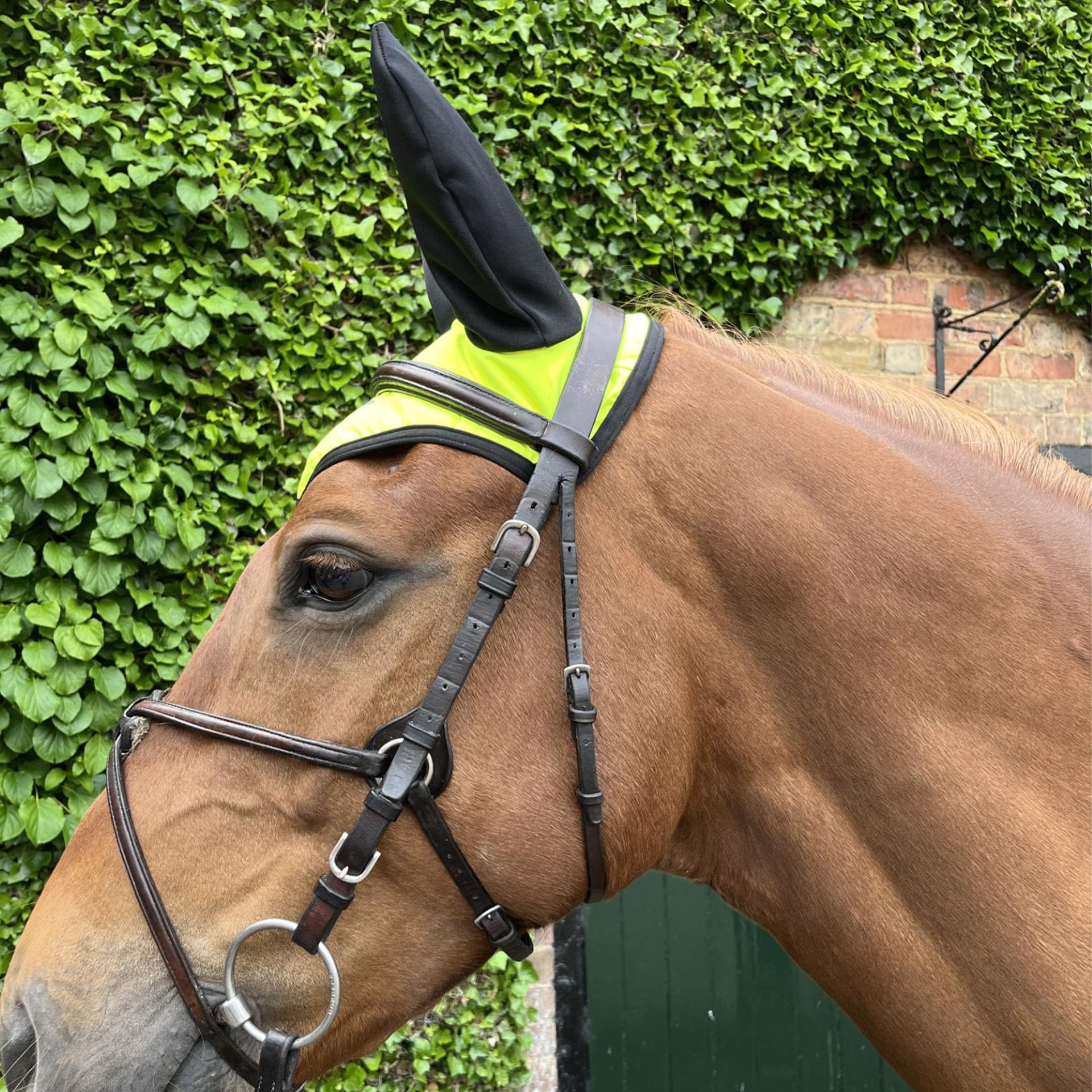 Ruggles Hi-Viz Ear Bonnet - Fly Veil for Horse and Pony - Yellow, Orange (Yellow, Pony) - Image 3
