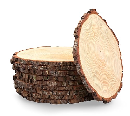 Set of 10 Large Wood Slices (11-13”) – Rustic Wooden
