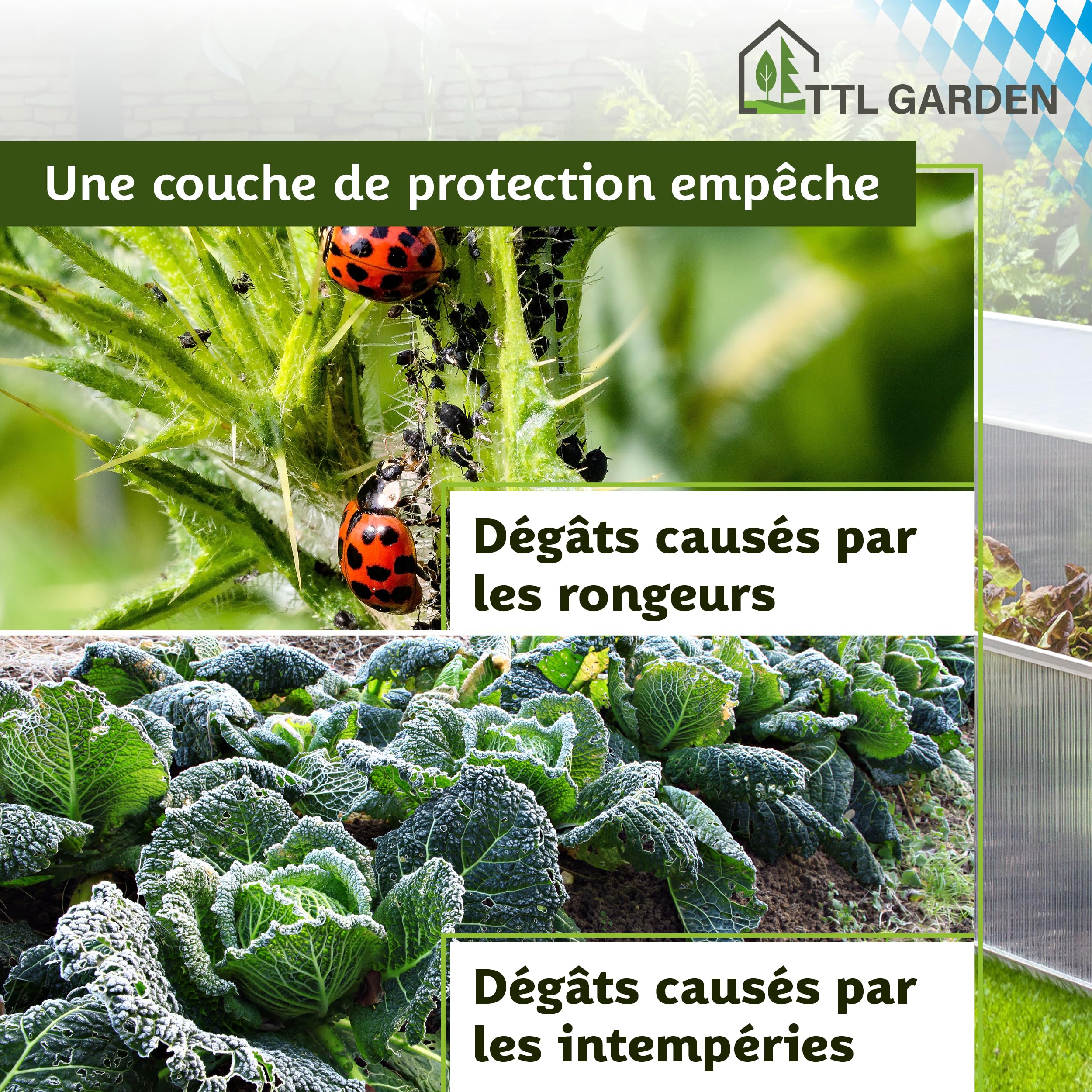 TTL Garden Jardinière en aluminium 40 x 100 x 60 cm – Serre pour plantes, plantation pour légumes, herbes et fleurs, culture et conditions de croissance optimales même en hiver