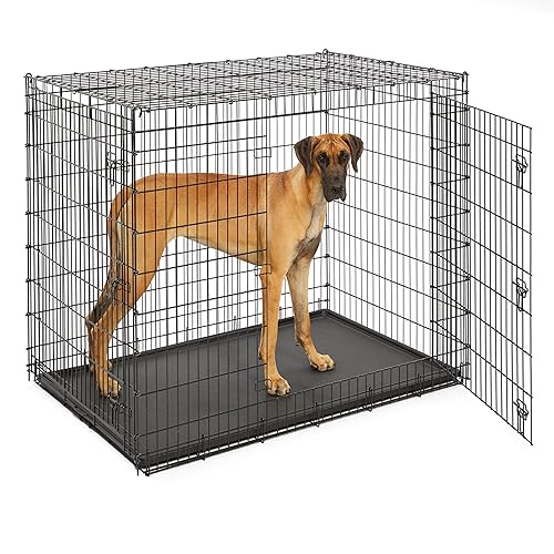MidWest Homes for Pets Solutions Series XXL Double Door 54-Inch Dog Crate for the Largest Breeds, Sturdy Drop Pin Assembly, Black E-Coated, SL54DD - Black - 54.0"L x 37.0"W x 45.0"H