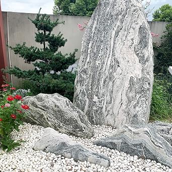 FANTIAN 10 lbs White River Rocks, 1-2 Inch Polished Pebbles for Indoor Plants, Decorative White Stones for Plants, Vase, Aquarium, Fish Tank, Landscaping and Garden