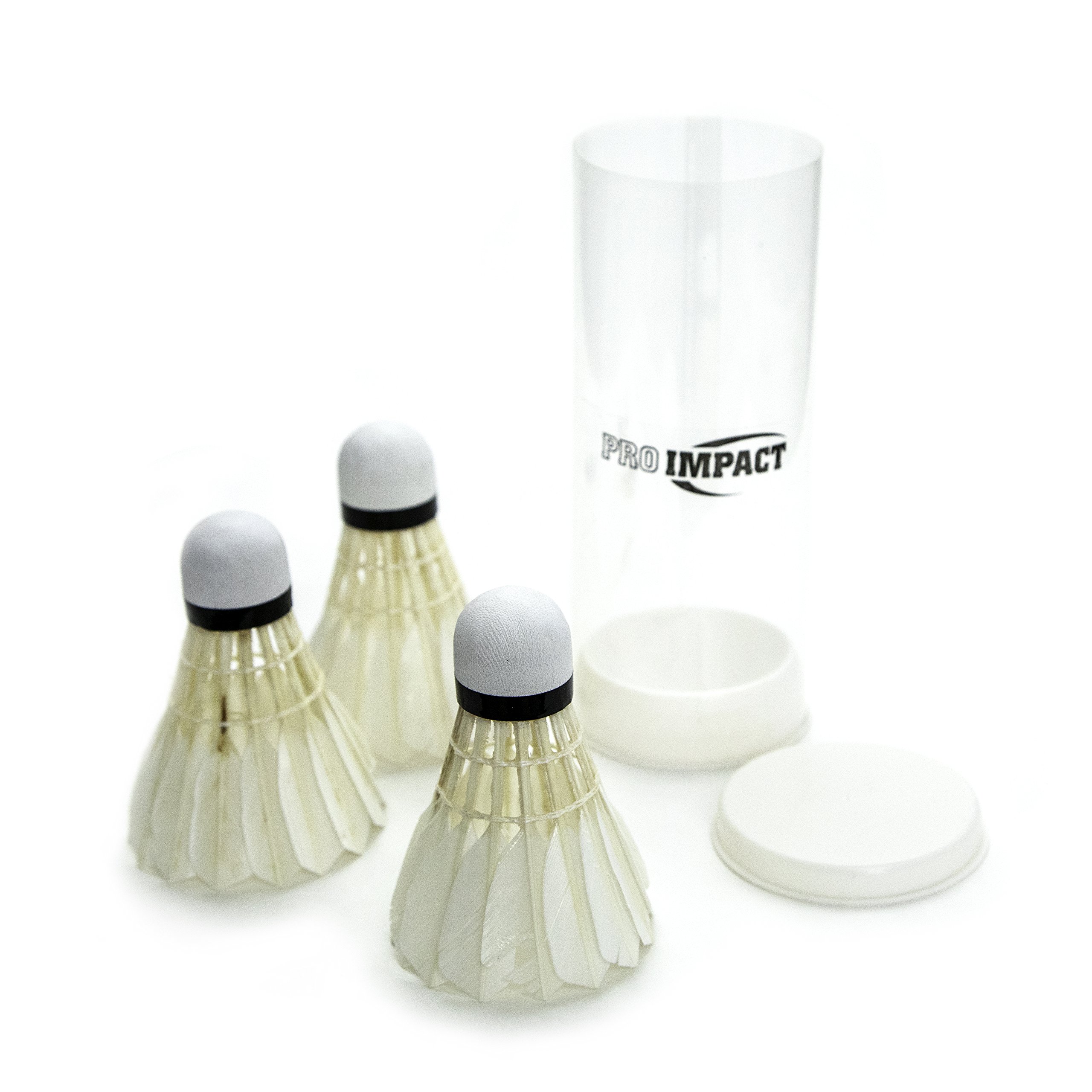 Juego de bádminton Incluye 2 Raquetas de bádminton, 3 Plumas y Funda