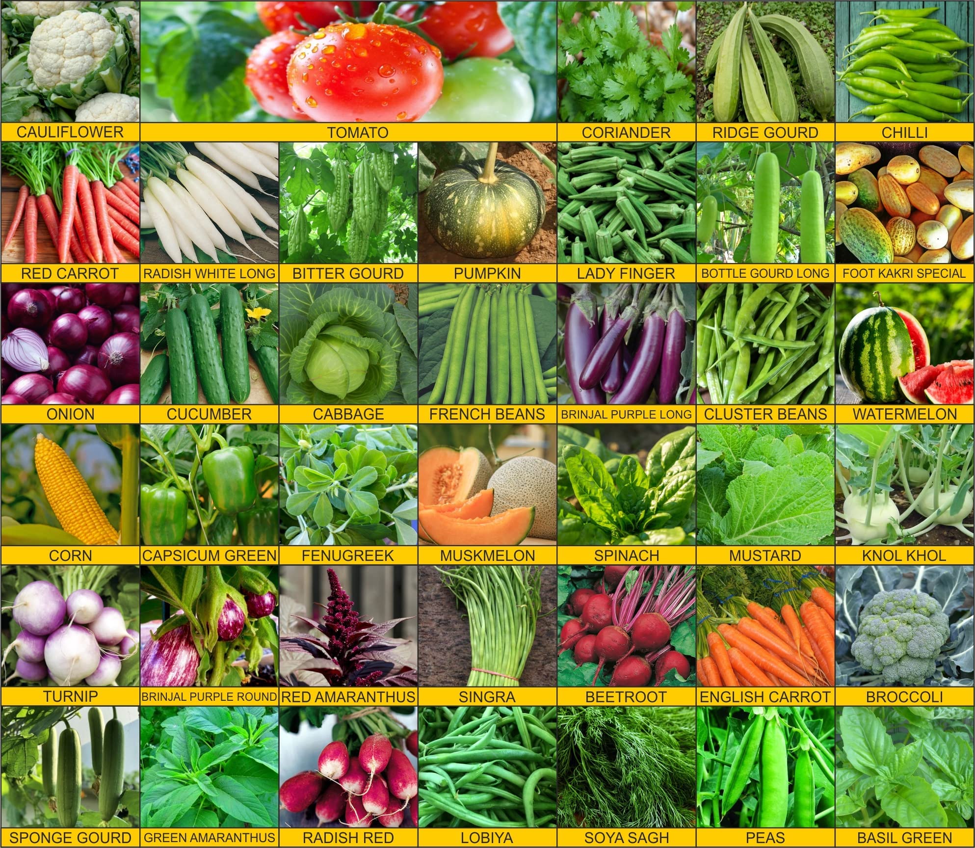 Seeds Basket 45 Vaeriety of Exotic Vegetable Seeds Combo Suitable For All Season | Pack Of 2500+ Seeds| (B0BYK6ZT58) Amazon Price History, Amazon Price Tracker