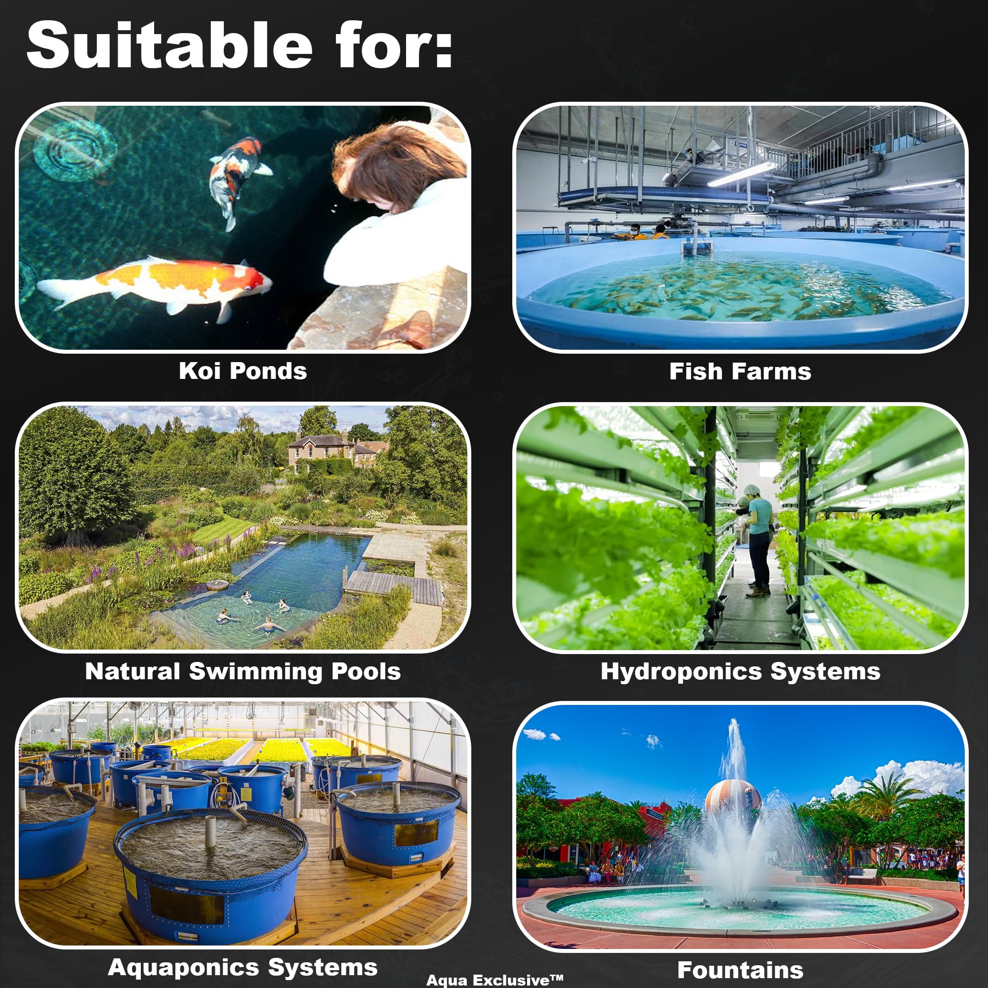 Filtro a tamburo RDF Sistema di filtraggio dell'acqua completamente automatico per stagni Koi, acquacoltura, allevamento ittico, idroponica, acquaponica, acquario, fontana, acquario |