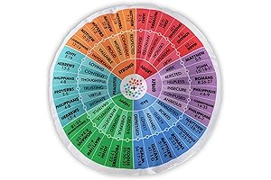 Feeling Circle: The Wheel of Emotions Feelings Pillow Bible