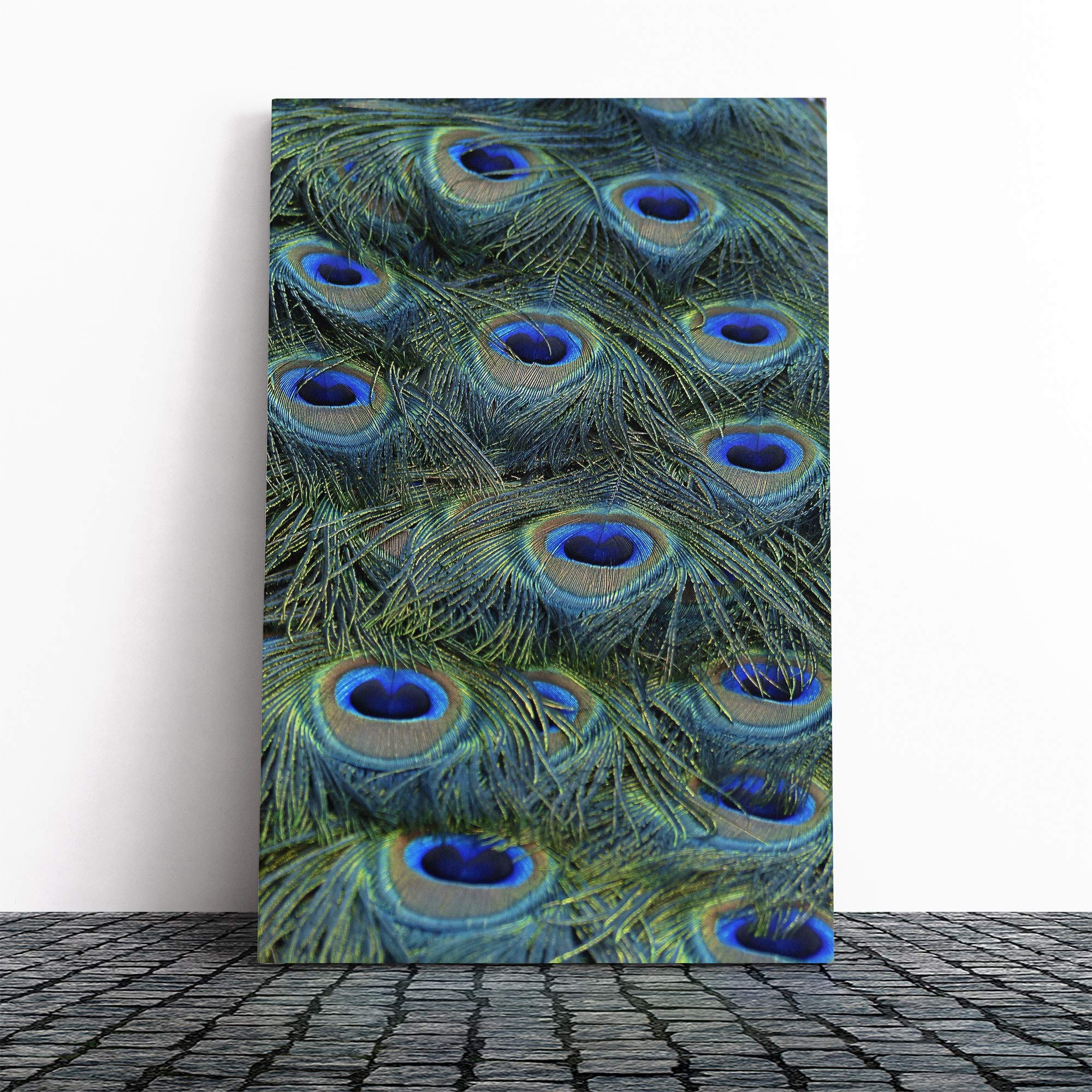 Peacock Feathers Canvas Print | Gallery Wrapped 30mm Frame Wall Art | 20x14 inches | Ready to Hang | Modern Picture | Living Room Bedroom Lounge Office