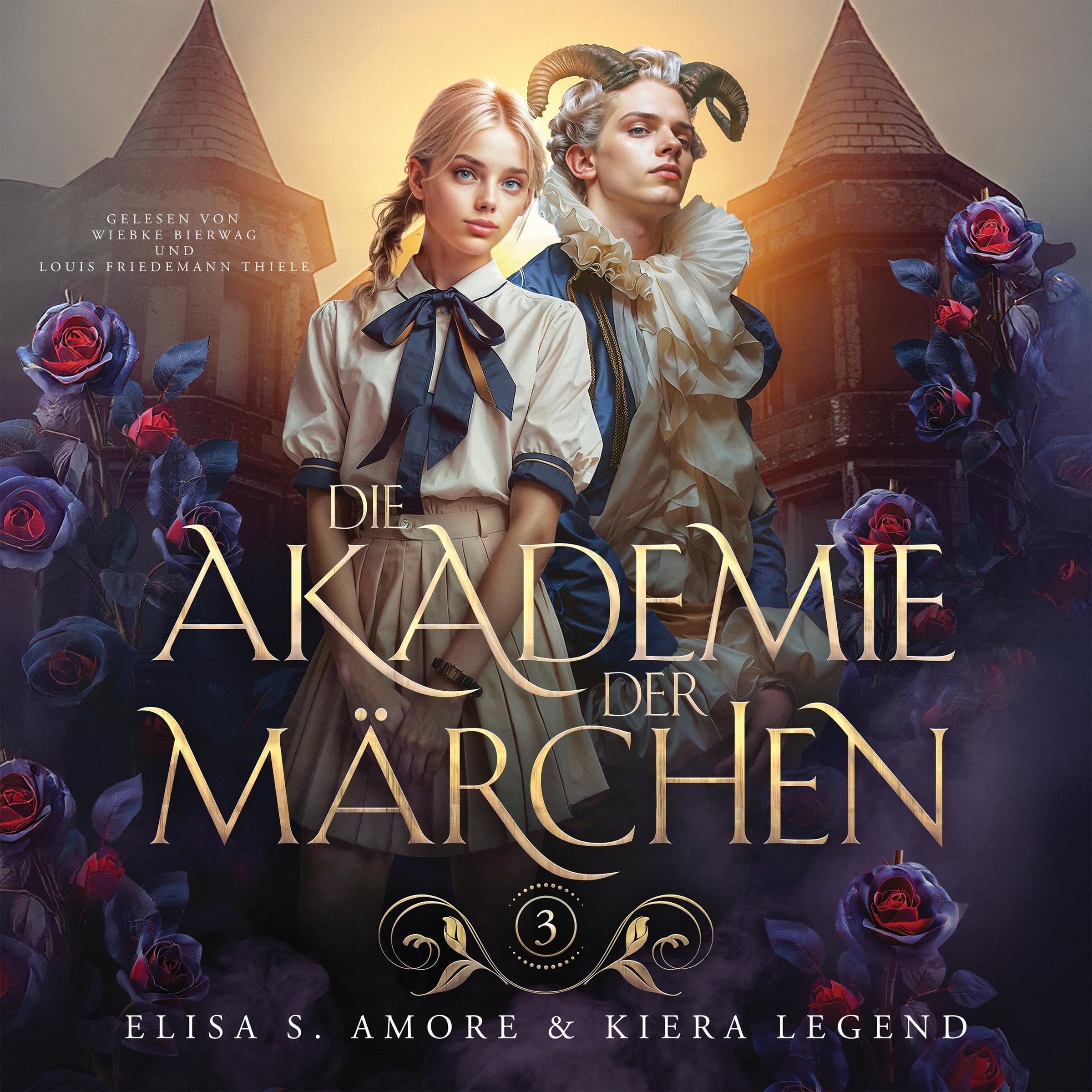 Cover art for Die Akademie der Märchen: Die Akademie der Märchen, Jahr 3
